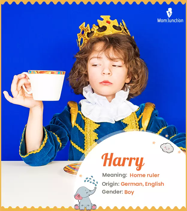 Harry Name, Meaning, Origin, History, And Popularity | MomJunction