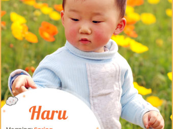 Haru means spring