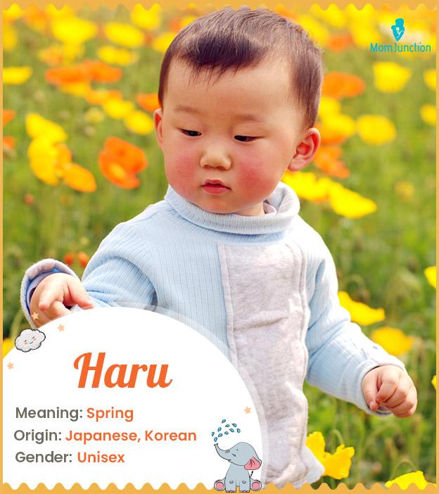 Haruto means a spring person