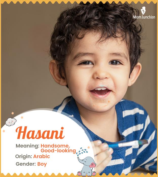 hasani: Name Meaning, Origin, History, And Popularity_image