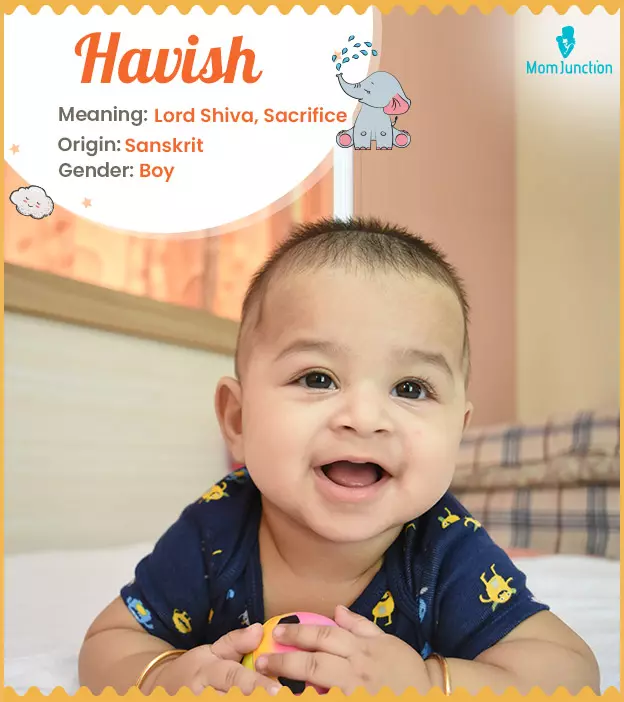 havish: Name Meaning, Origin, History, And Popularity | MomJunction