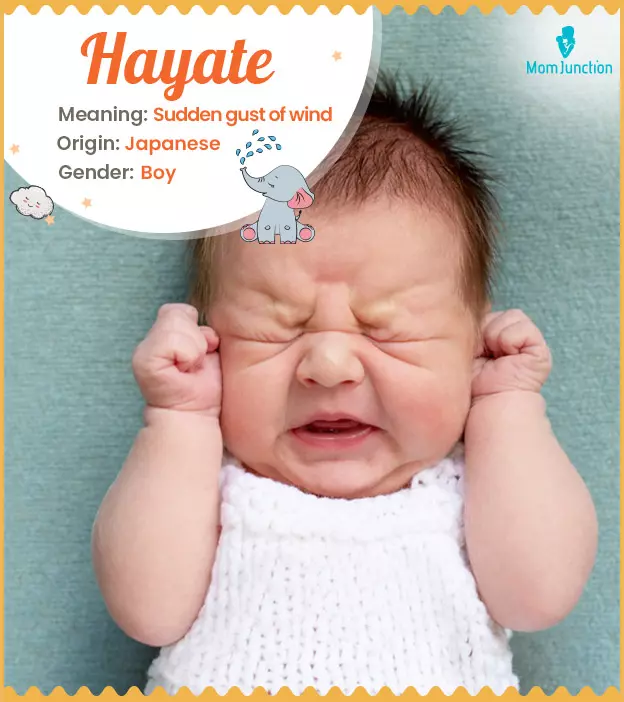 Hayate: Name Meaning, Origin, History, And Popularity | MomJunction