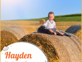 Hayden, a hill of hay