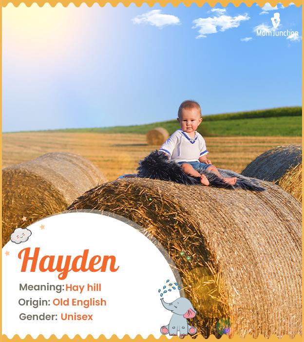 hayden-name-meaning-origin-history-and-popularity