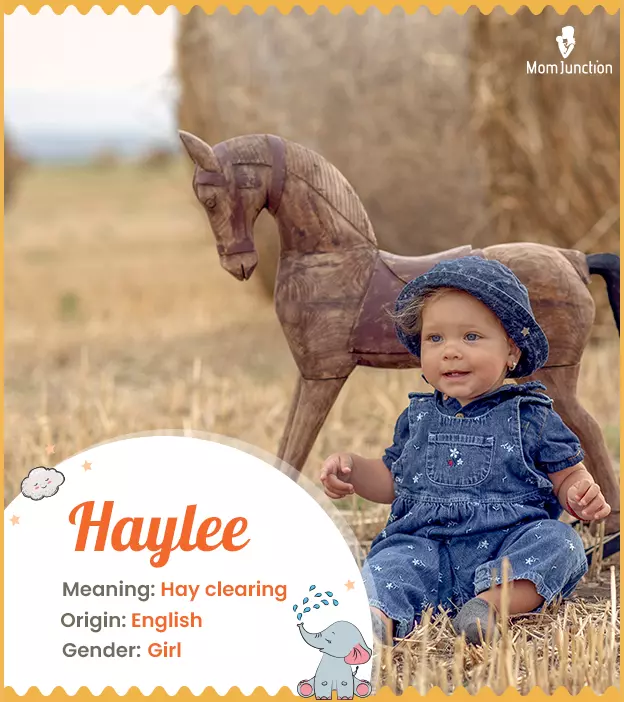 Haylee Name Meaning, Origin, History, And Popularity | MomJunction