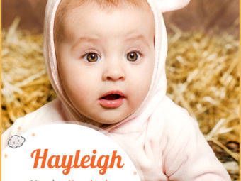 Hayleigh means hay clearing