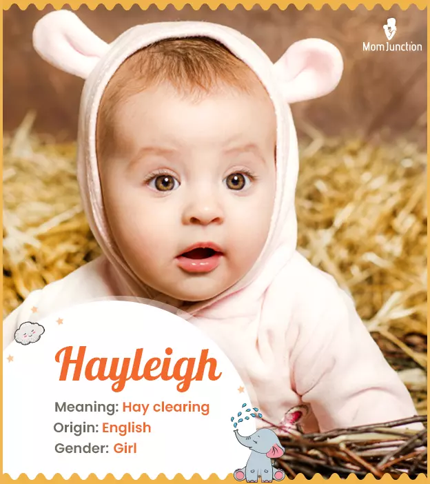 Explore Hayleigh: Meaning, Origin & Popularity_image