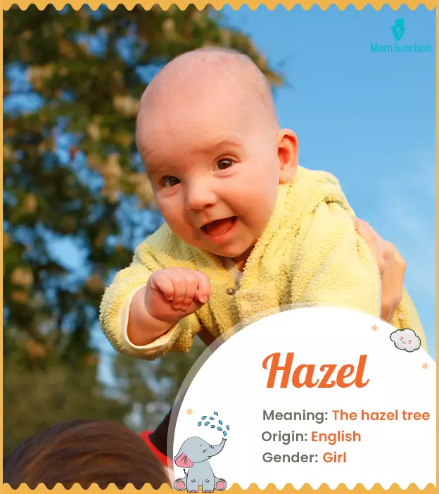 Hazel is a great name choice for a tree lover since it has its roots in a tree. 