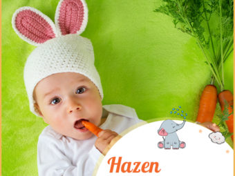 Hazen means hare.