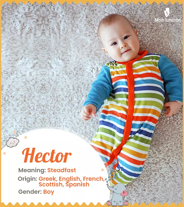 Hector: Name Meaning, Origin, History, And Popularity | MomJunction