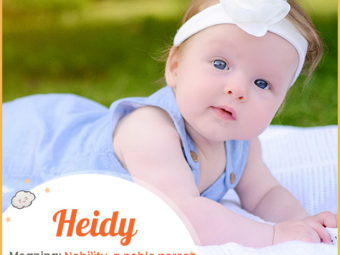 Heidy means nobility
