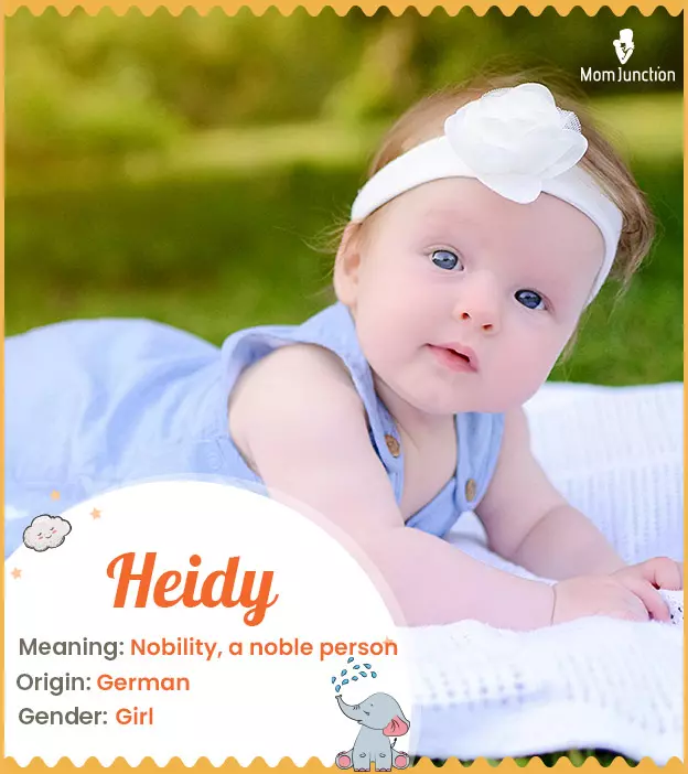 Heidy: Name Meaning, Origin, History, And Popularity_image