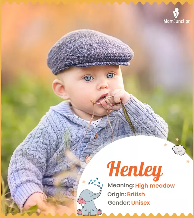 Henley meaning High 