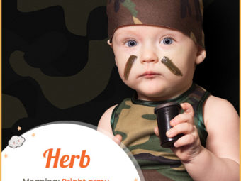 Herb, bright army