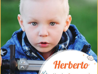 Herberto means famed warrior
