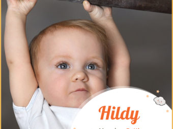 Hildy meaning Battle