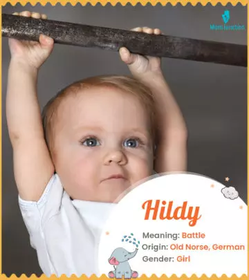 Explore Hildy: Meaning, Origin & Popularity | MomJunction