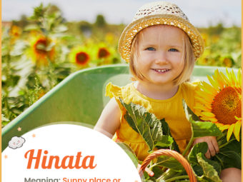 Hinata, meaning sunflower