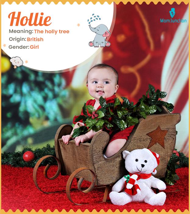 hollie: Name Meaning, Origin, History, And Popularity_image