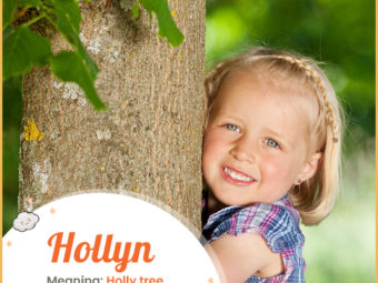Hollyn meaning Holly tree, Wooded land