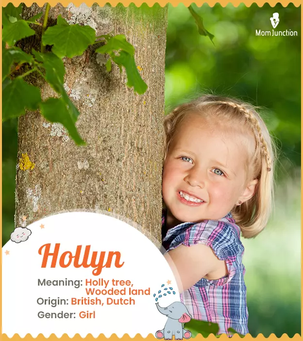 Hollyn meaning Holly tree, Wooded land