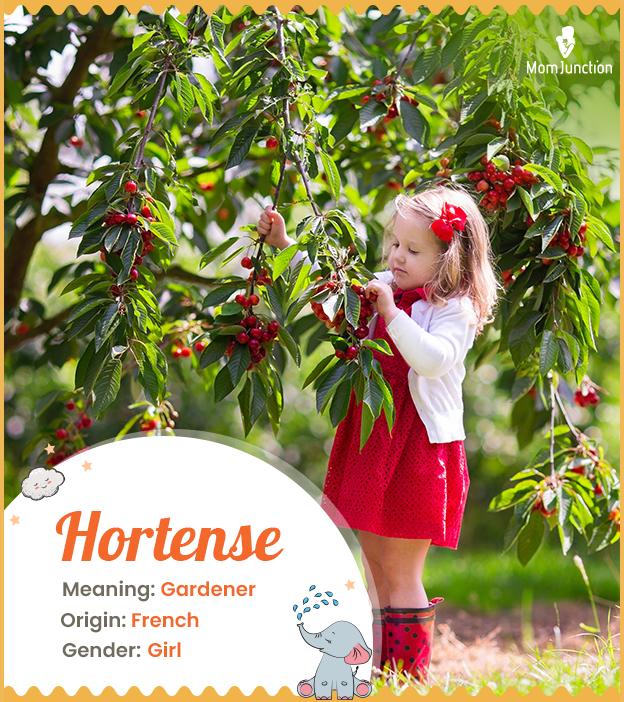 Hortense, a French n