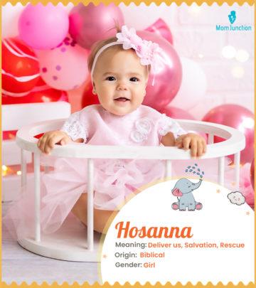 Explore Hosanna: Meaning, Origin & Popularity_image