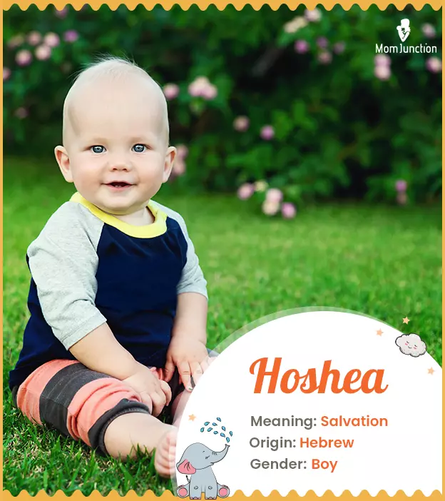 Hoshea Name, Meaning, Origin, History And Popularity_image