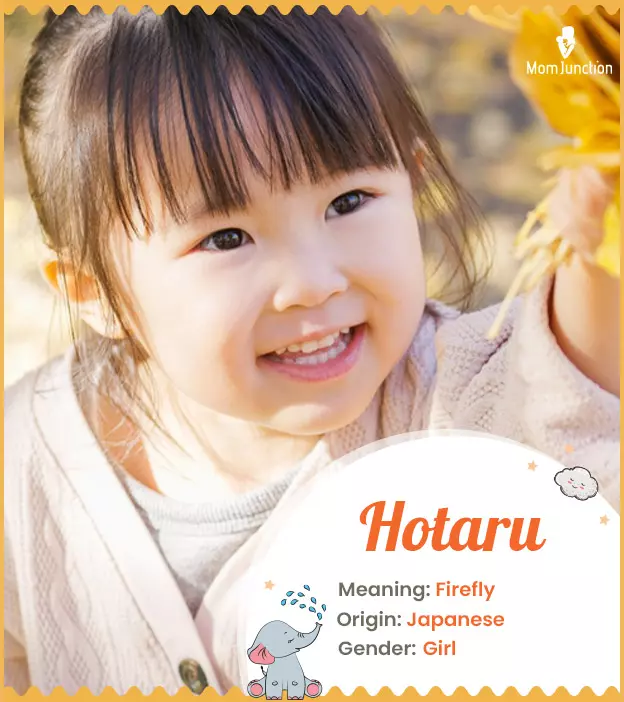 Hotaru: Name Meaning, Origin, History, And Popularity | MomJunction