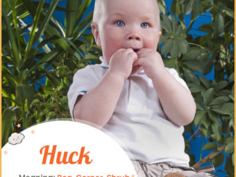 Huck means shrub