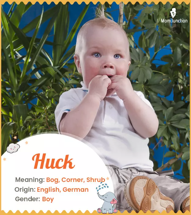 Huck means shrub