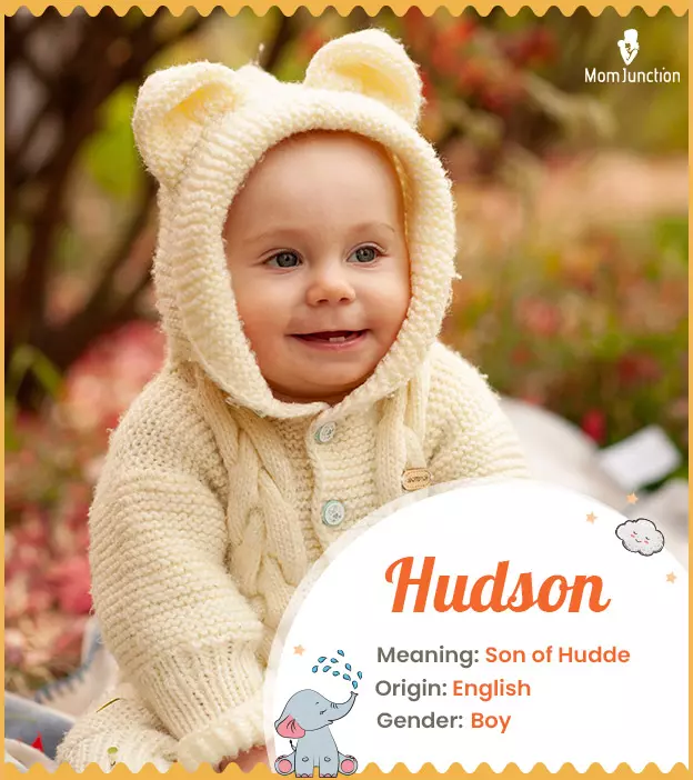 Hudson: Name Meaning, Origin, History, And Popularity ...