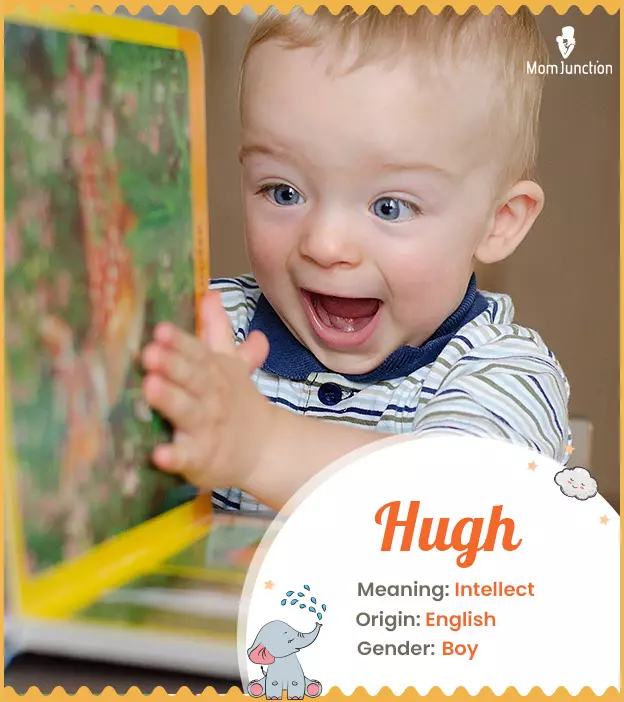 Hugh Name Meaning, Origin, History, And Popularity_image