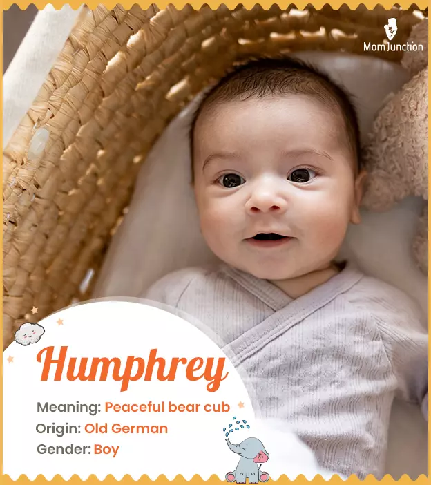 Explore Humphrey: Meaning, Origin & Popularity | MomJunction