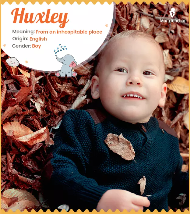 huxley: Name Meaning, Origin, History, And Popularity | MomJunction