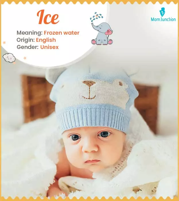 Ice: Name Meaning, Origin, History, And Popularity | MomJunction