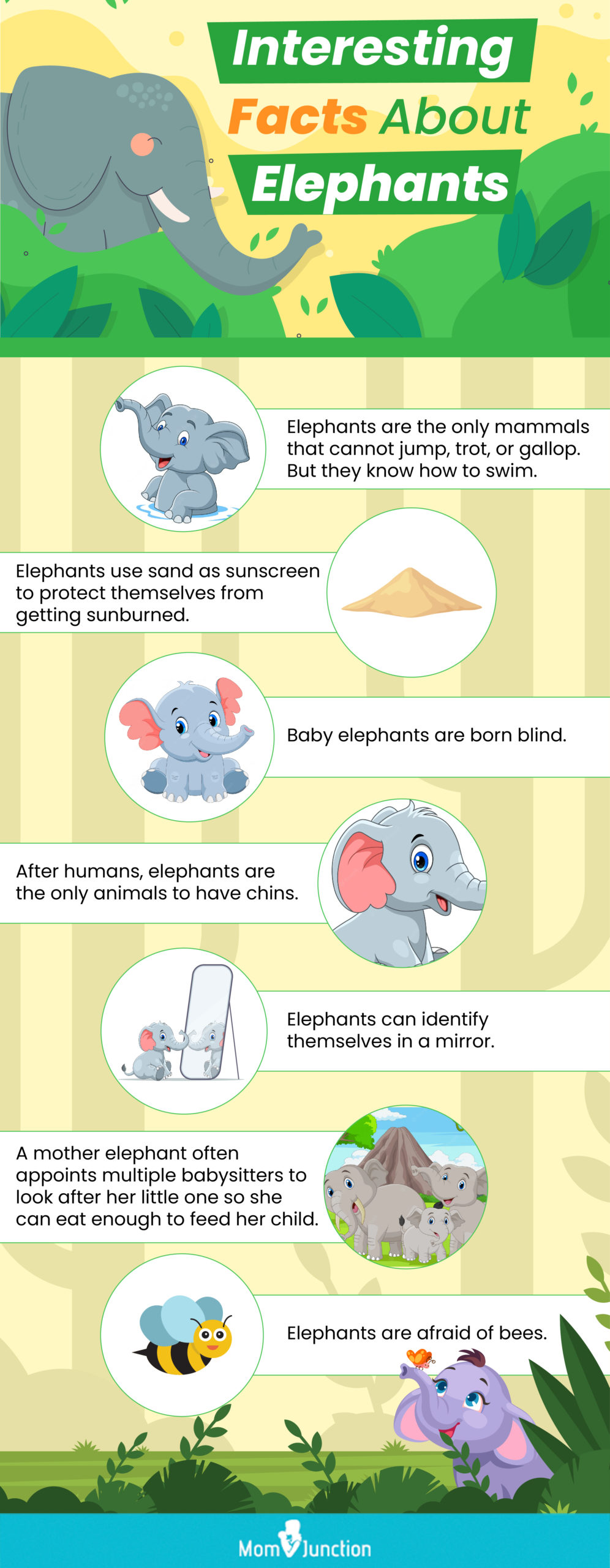 interesting facts about elephants (infographic)