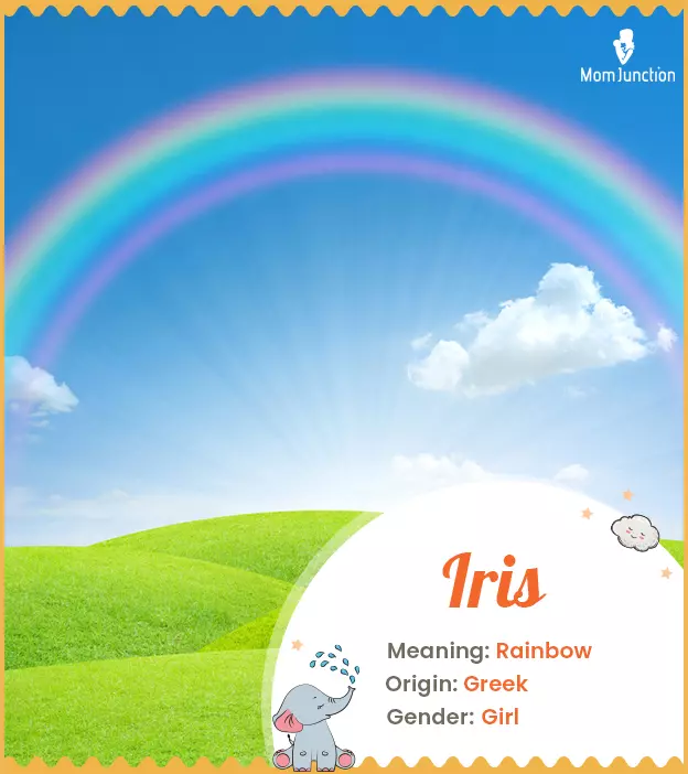 Iris Name, Meaning, Origin, History, And Popularity_image