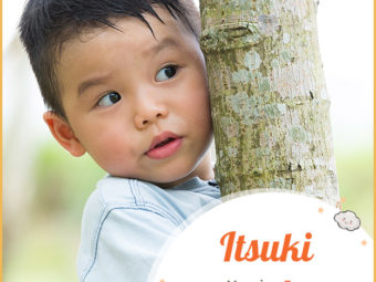 Itsuki, meaning tree
