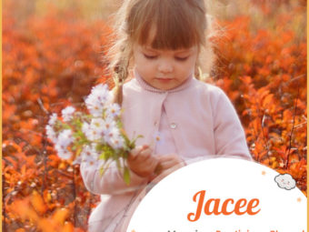 Jacee, means prestigious or blessed.