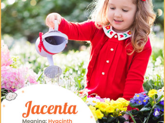 Jacenta meaning Hyacinth