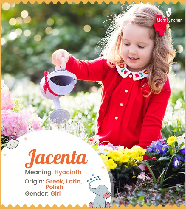 Explore Jacenta: Meaning, Origin & Popularity | MomJunction