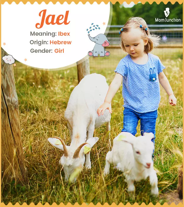 Jael Name Meaning, Origin, History, And Popularity | MomJunction