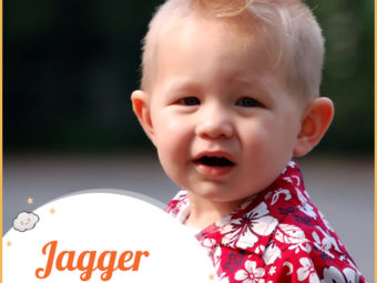 Jagger, meaning a carter or peddler