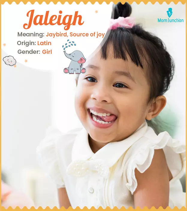 Explore Jaleigh: Meaning, Origin & Popularity_image