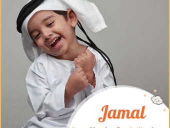 Jamal, Arabic name meaning handsome