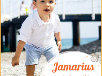 Jamarius means beauty or of the sea