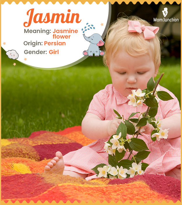 Symbolic And Spiritual Meaning Of Jasmine Flowers - Everything You