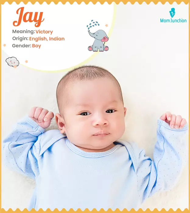 Jay Name, Meaning, Origin, History And Popularity | MomJunction