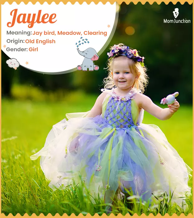 jaylee: Name Meaning, Origin, History, And Popularity | MomJunction